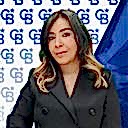 Ferzi Saka