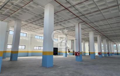 Hadımköy Ömerli Kiralık 2.300 M2 Depo