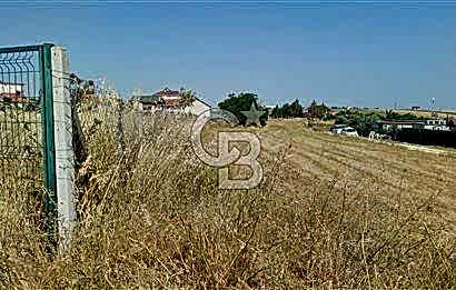 Tekirdağ Çorlu Şahpaz Mah. Satılık 1800 M2 Arsa