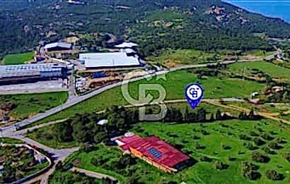 Foça Yeniköy'de Satılık Deniz Manzaralı Tarla
