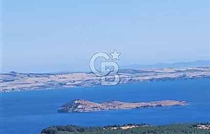 Edirne Keşan Sazlıdere Satılık Müstakil Tapu 548 M2 Arsa