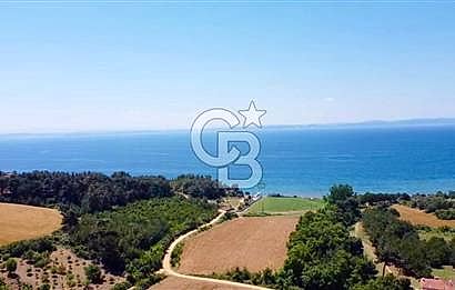 Edirne Keşan Sazlıdere Saros Körfezi Satılık 489 M2 Arsa
