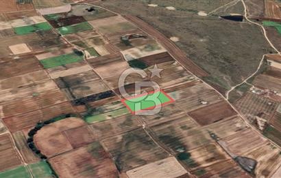 Tekirdağ Çorlu Türkgücü'de Satılık 20.650 m2 Tek Tapu Tarla