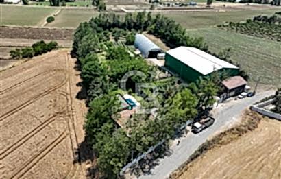 ÇATALCA'DA KAÇIRILMAYACAK FIRSAT! 8.800 m² KURULU ÇİFTLİK