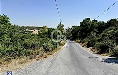 Dursunköy'de Satılık 388 m² Arsa - Yatırım Fırsatı