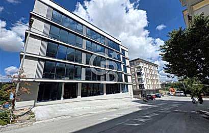Arnavutköy Hadımköy Satılık Komple Bina & Plaza & İş Merkezi