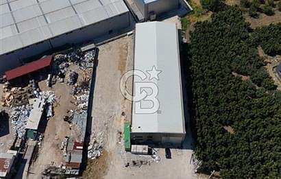 KAYTAZDEREDE 250 KW TRAFOLU 15 TON VİNÇLİ SATILIK FABRİKA