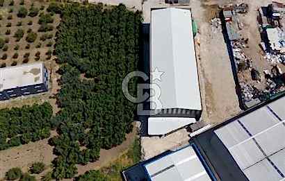 KAYTAZDEREDE 250 KW TRAFOLU 15 TON VİNÇLİ SATILIK FABRİKA