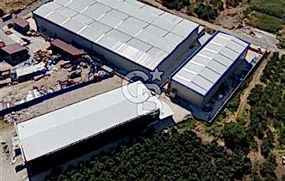 KAYTAZDEREDE 250 KW TRAFOLU 15 TON VİNÇLİ SATILIK FABRİKA