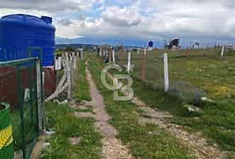 KEMALPAŞA DAMLACIK SATILIK BAHE - 5 - 361080