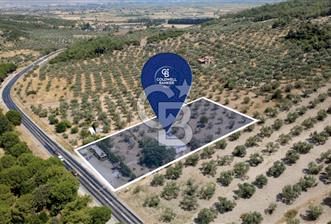 ESKİ FOÇA YOLU ÜZERİNDE İŞLETMEYE UYGUN ARSA - 7 - 361112